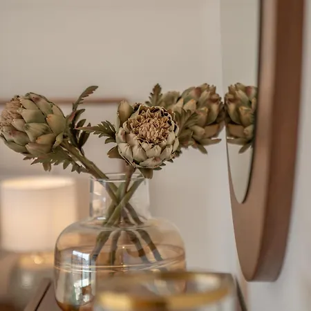 Casas Do Relogio Tatil Evi